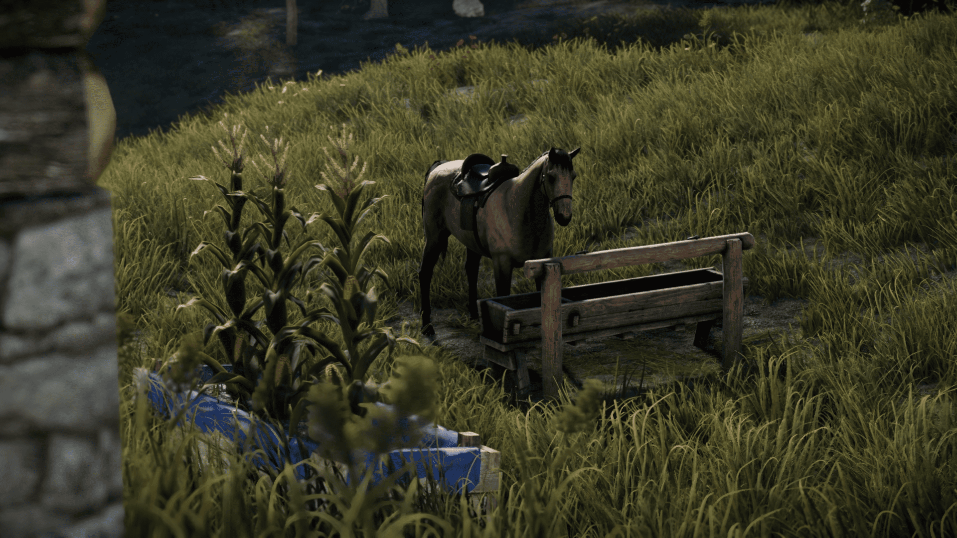 horse rust