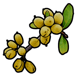 yellow berry rust